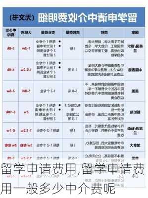 留学申请费用,留学申请费用一般多少中介费呢