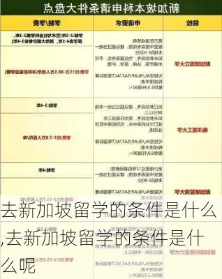 去新加坡留学的条件是什么,去新加坡留学的条件是什么呢