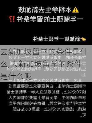 去新加坡留学的条件是什么,去新加坡留学的条件是什么呢