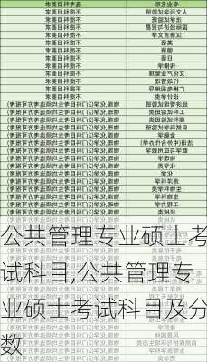 公共管理专业硕士考试科目,公共管理专业硕士考试科目及分数