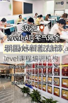 培训alevel武汉,武汉alevel课程培训机构