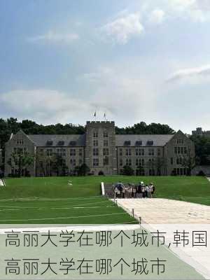 高丽大学在哪个城市,韩国高丽大学在哪个城市