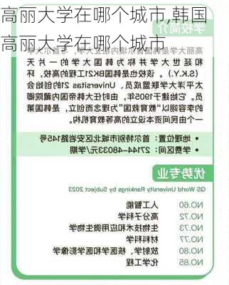 高丽大学在哪个城市,韩国高丽大学在哪个城市