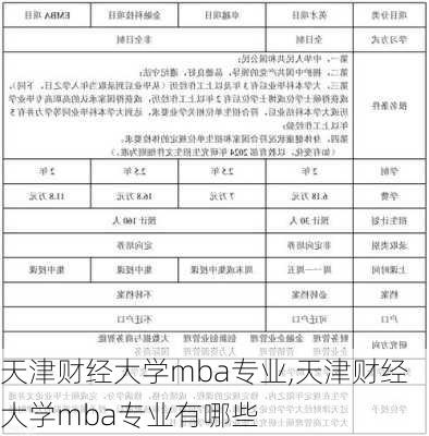 天津财经大学mba专业,天津财经大学mba专业有哪些