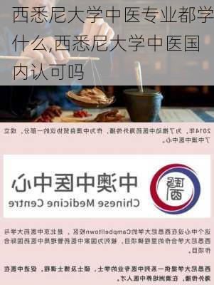 西悉尼大学中医专业都学什么,西悉尼大学中医国内认可吗