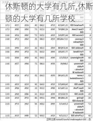 休斯顿的大学有几所,休斯顿的大学有几所学校